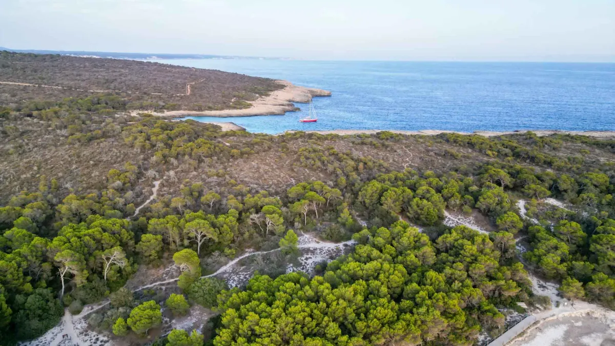 Praia de Son Saura, de areia branca e água rasa, ideal para crianças